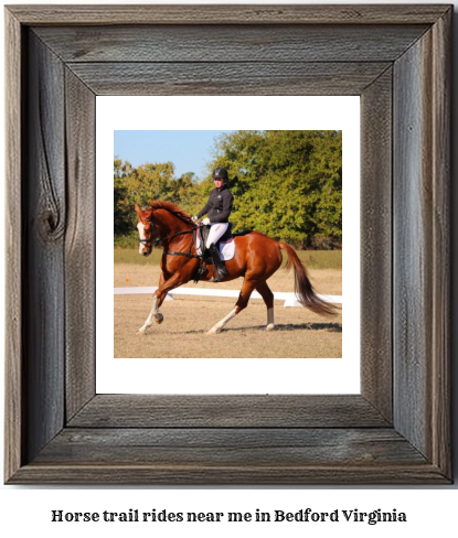 horse trail rides near me in Bedford, Virginia